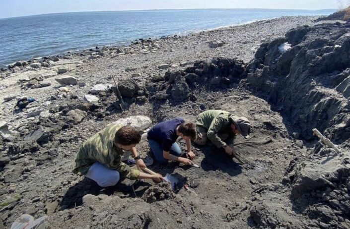 Ихтиозавр три человека копают
