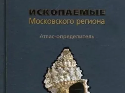 Книга "Ископаемые Московского региона"